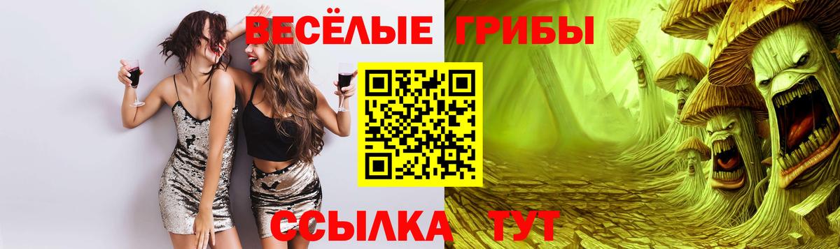 Галлюциногенные грибы Psilocybe Городец
